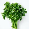 fresh parsley