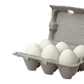 eggs in carton