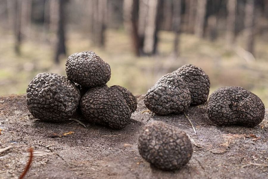 Truffle-Flavored Pork Rinds